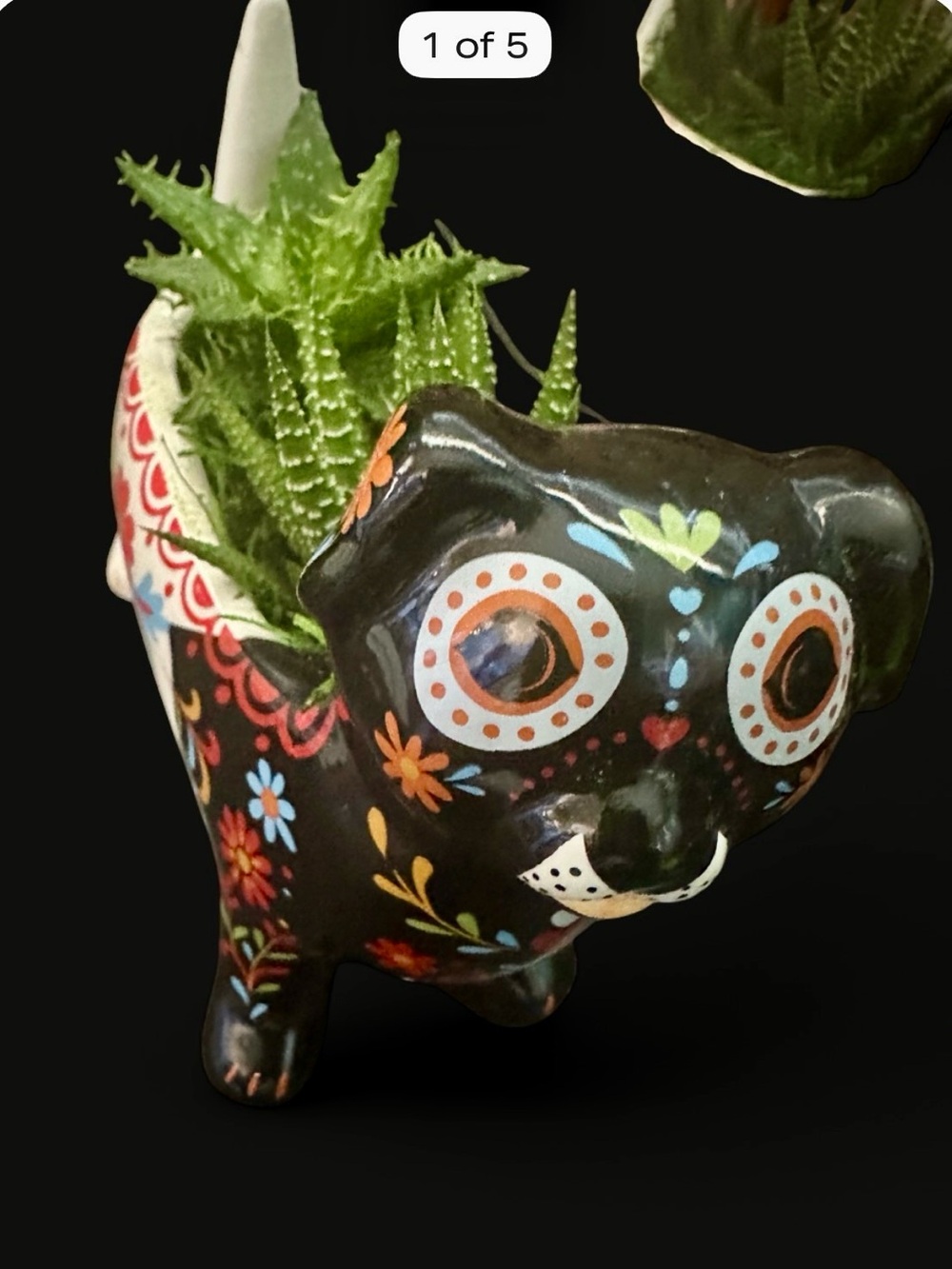 Day of the dead dog planter #dayofthedead #cactus #mexicanart.